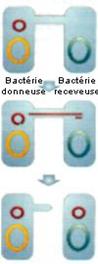 Figure extraite de chimie-sup.fr