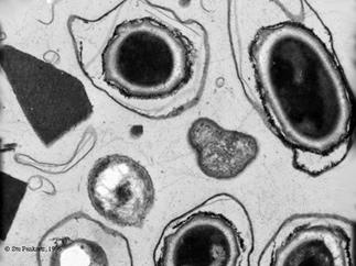 Figure extraite de chimie-sup.fr