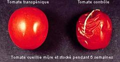 Figure extraite de chimie-sup.fr
