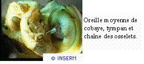 Figure extraite de chimie-sup.fr