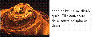 Figure extraite de chimie-sup.fr