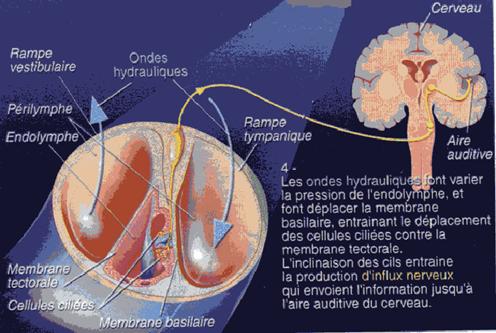 Figure extraite de chimie-sup.fr